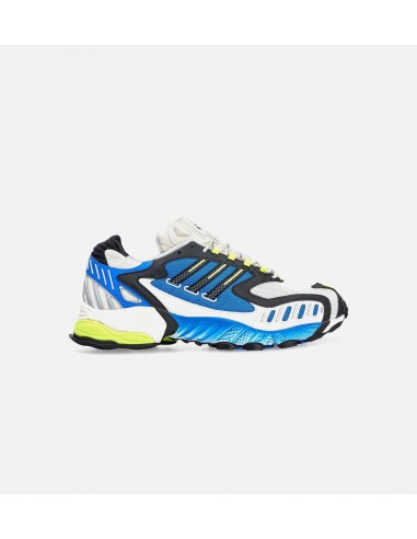 Torsion Trdc Mens Running Shoe - Blue/Green des créatures d'habitude