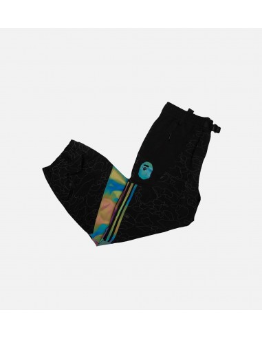 Bape X adidas Snowboarding Collection Mens Slopetrotter Pants - Black/Black ouvre sa boutique