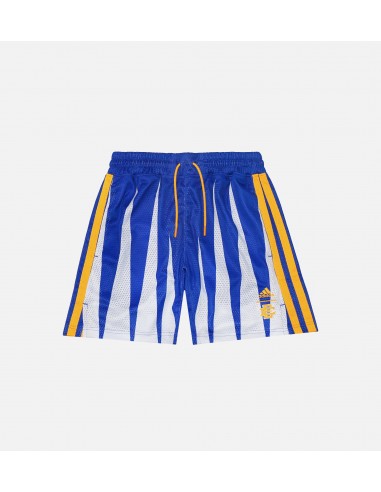 Eric Emanuel Hoops Shorts Mens Shorts - Blue pas chere