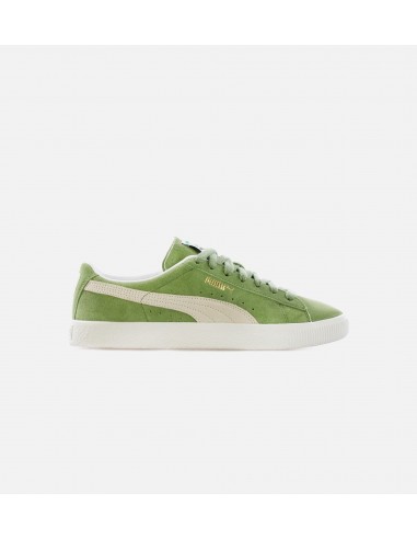 Suede Vintage Mens Lifestyle Shoe - Green/White prix pour 