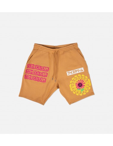 Avalanche Shorts Mens Shorts - Orange rembourrage situé sous